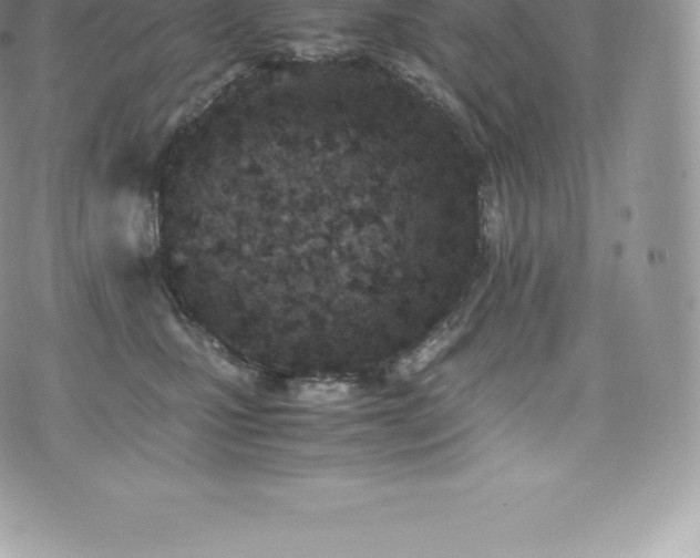 X0000073900471200608111134