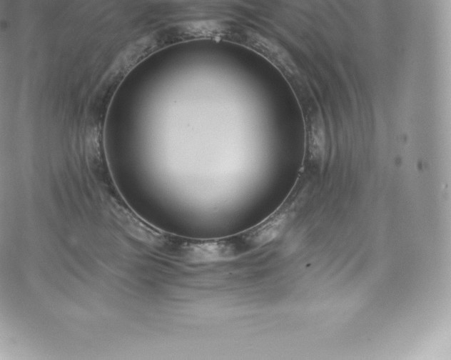 X0000073900473200608111135