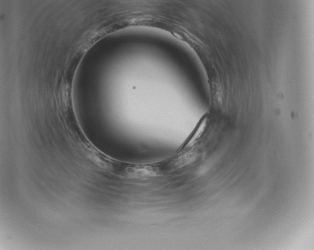 X0000073900475200608111135