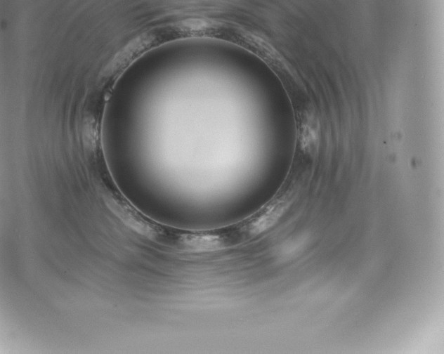 X0000073900476200608111135