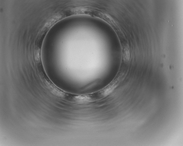 X0000073900477200608111135