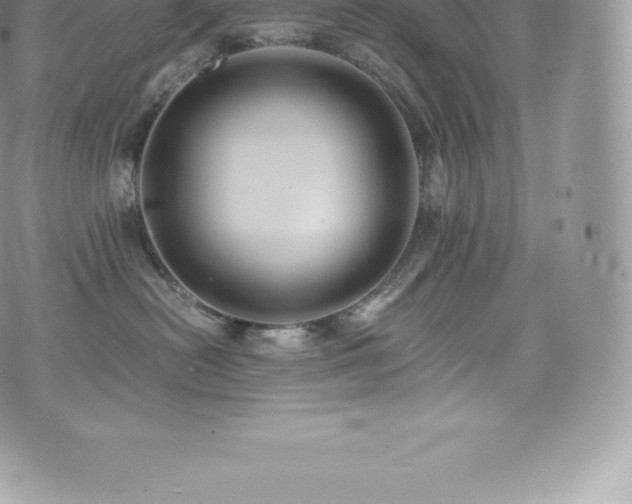 X0000073900478200608111135