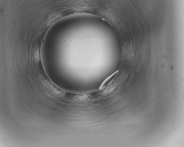 X0000073900479200608111135