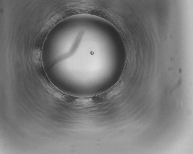 X0000073900480200608111135