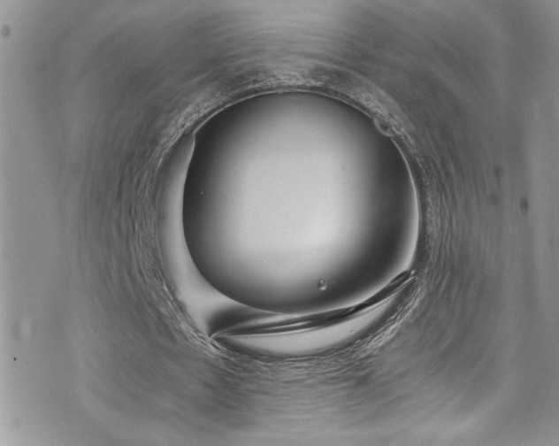 X0000073900481200608111134