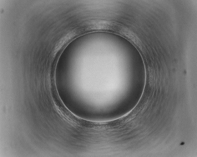 X0000073900482200608111134