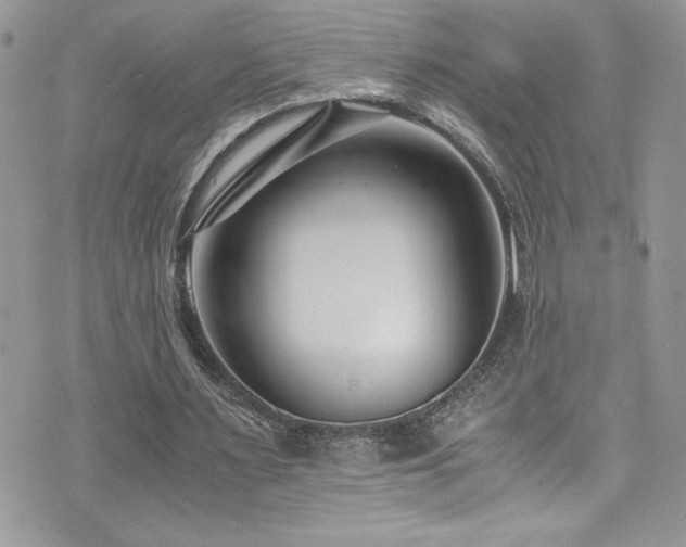 X0000073900483200608111134