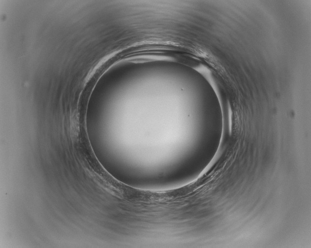 X0000073900484200608111134