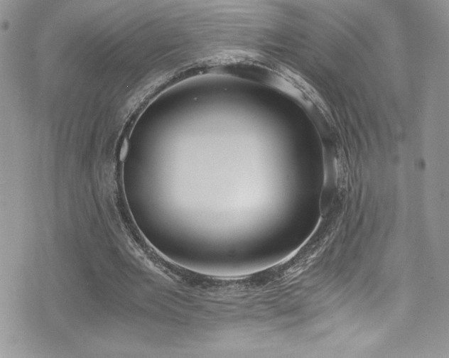 X0000073900485200608111134