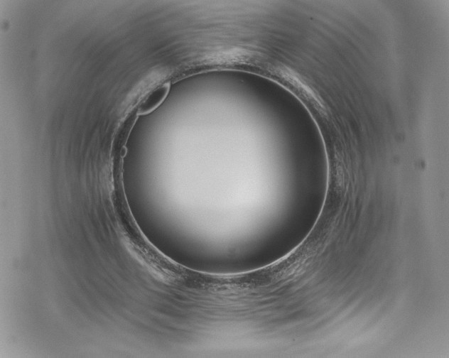 X0000073900486200608111134