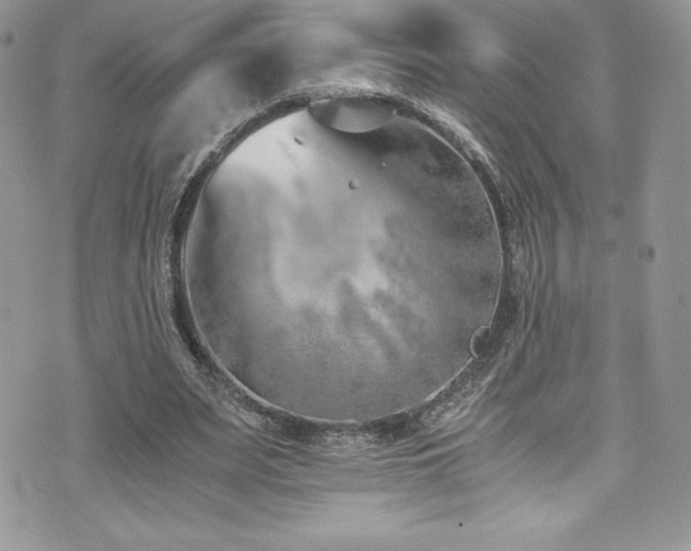 X0000073900487200608111134