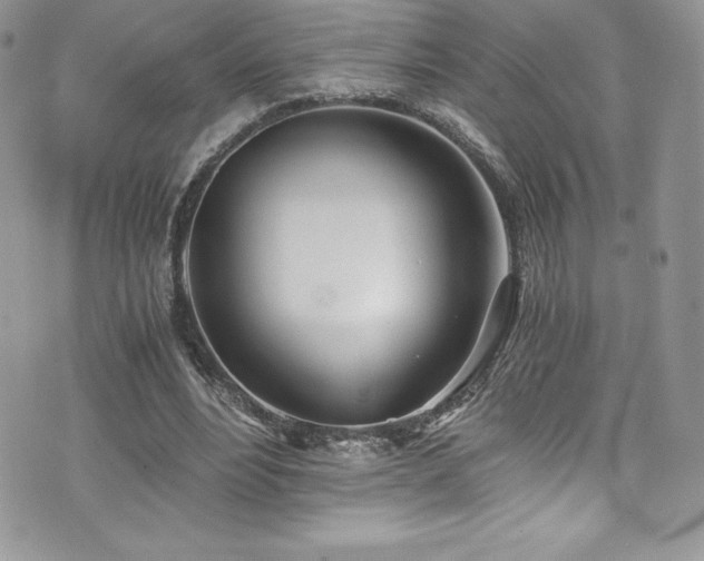 X0000073900488200608111134