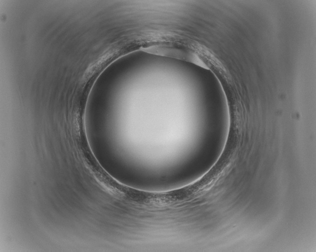 X0000073900489200608111134