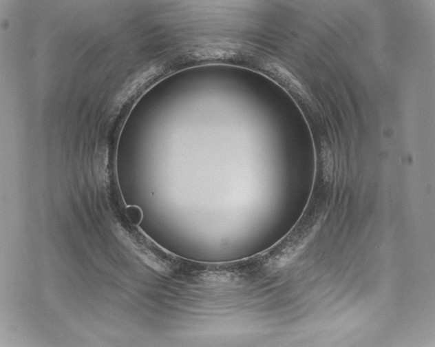 X0000073900490200608111134