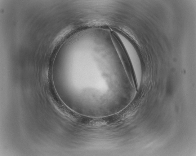 X0000073900491200608111134