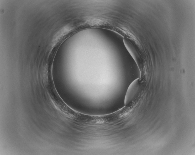 X0000073900492200608111134