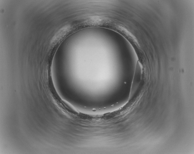 X0000073900493200608111134