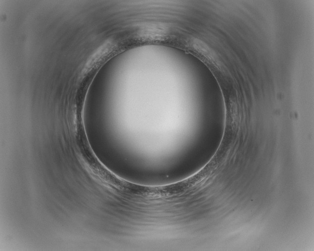 X0000073900494200608111134