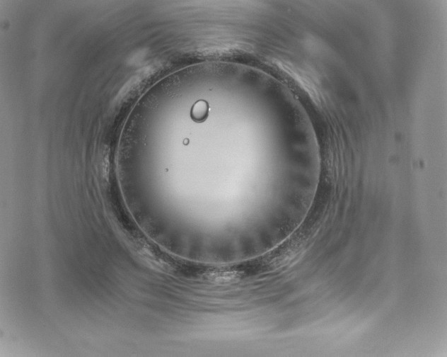 X0000073900495200608111134