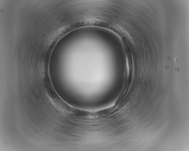 X0000073900496200608111134