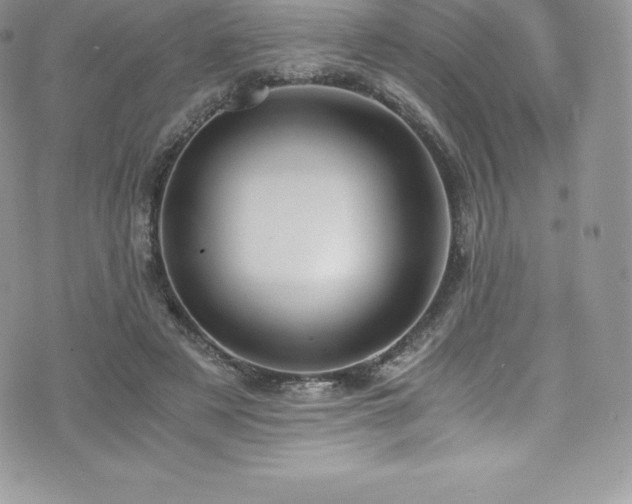 X0000073900497200608111134