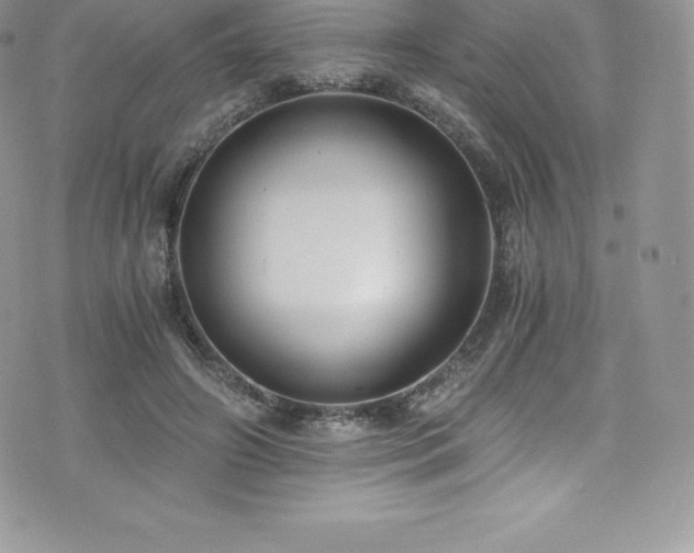 X0000073900498200608111134