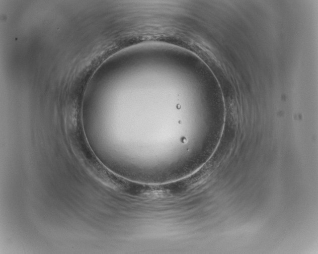 X0000073900499200608111134