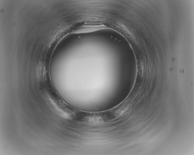 X0000073900500200608111134