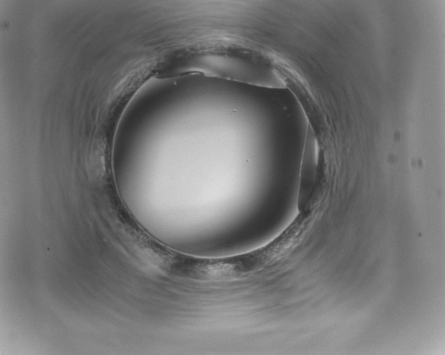 X0000073900501200608111134