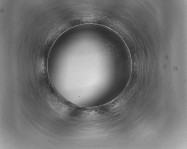 X0000073900502200608111133