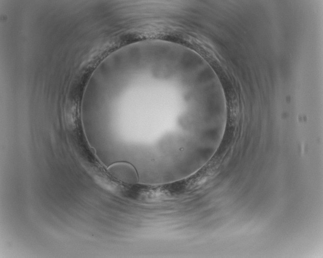 X0000073900503200608111133