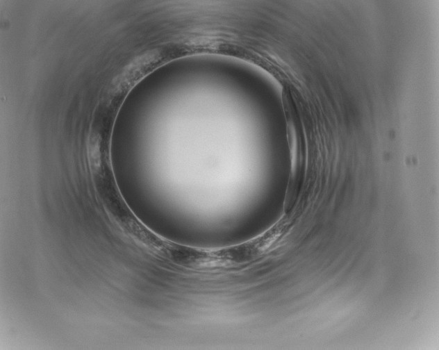 X0000073900504200608111133