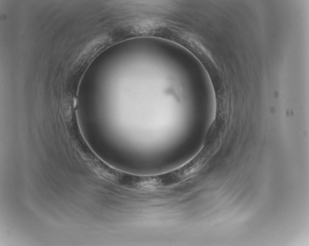 X0000073900505200608111133