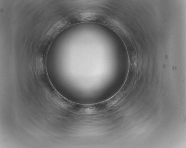 X0000073900506200608111133