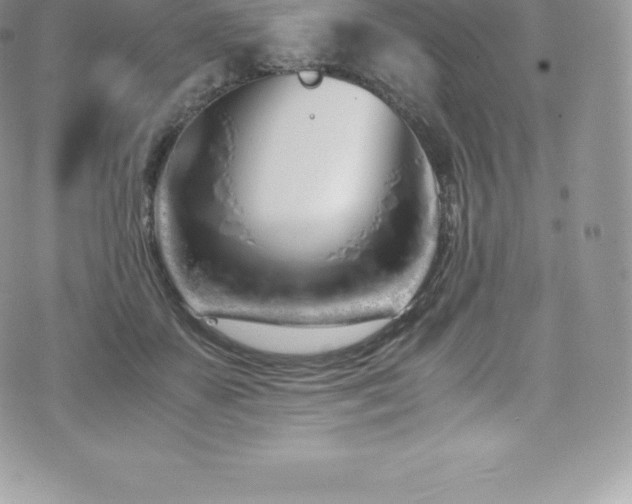 X0000073900507200608111133