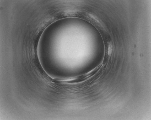 X0000073900508200608111133