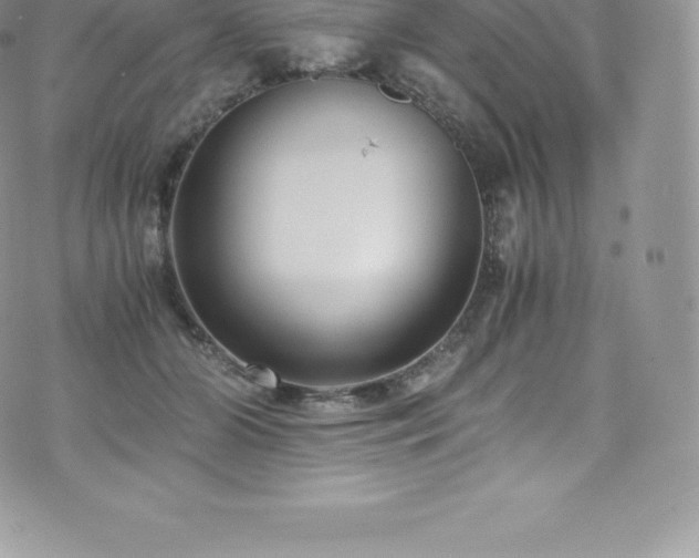 X0000073900510200608111133