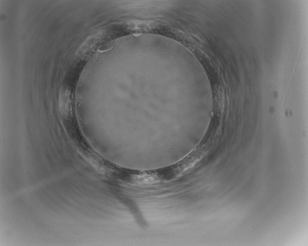 X0000073900511200608111133