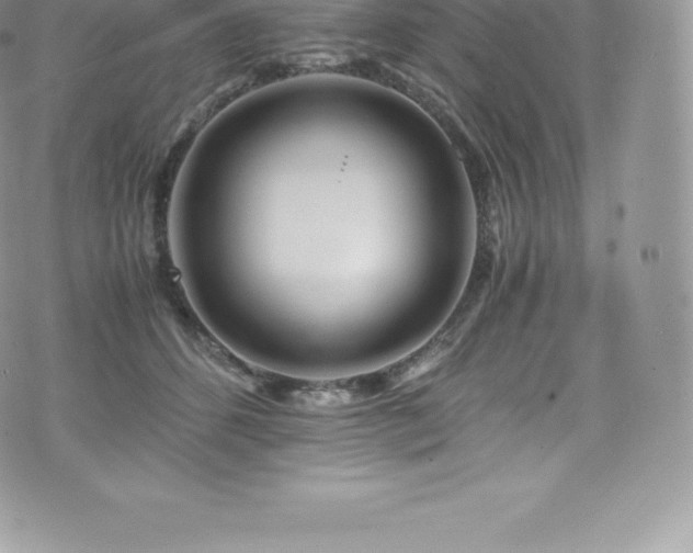 X0000073900512200608111133