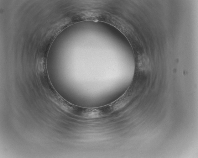 X0000073900514200608111133