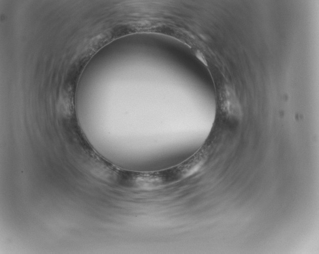 X0000073900515200608111133