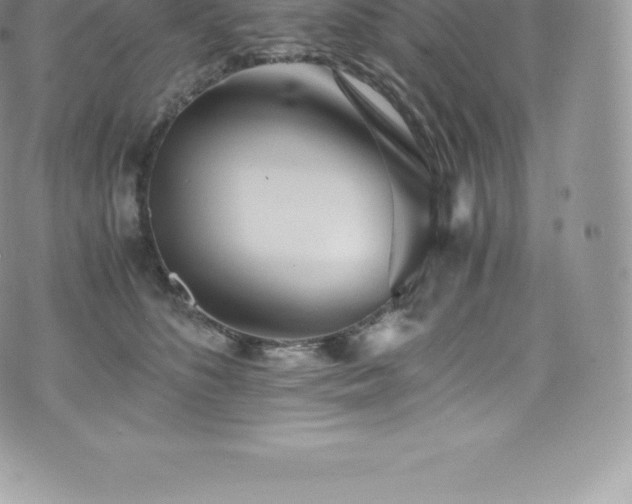 X0000073900516200608111133