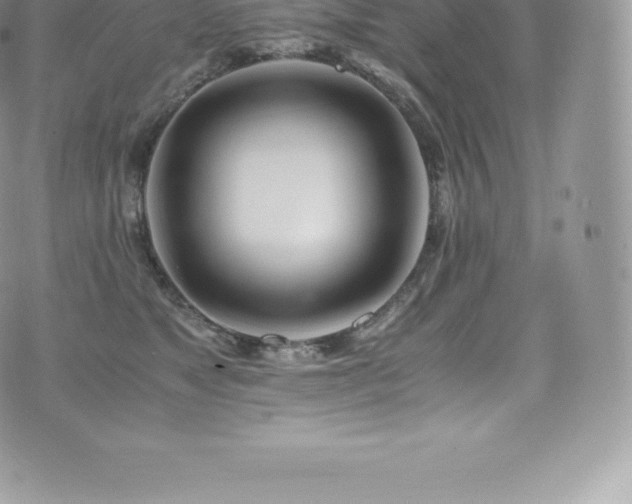 X0000073900517200608111133