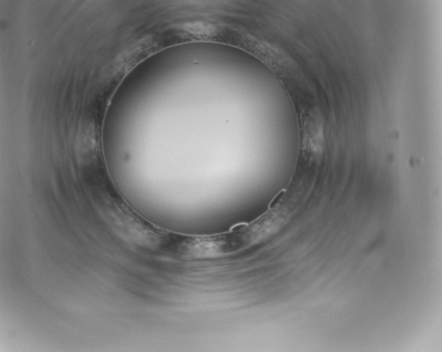 X0000073900518200608111133