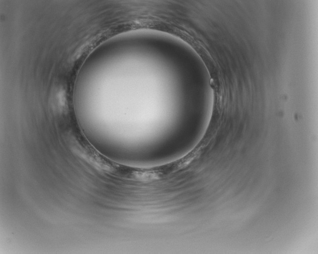 X0000073900520200608111133