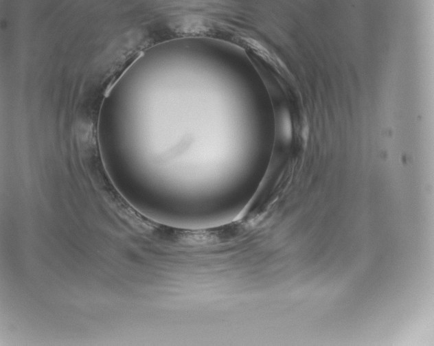 X0000073900521200608111133