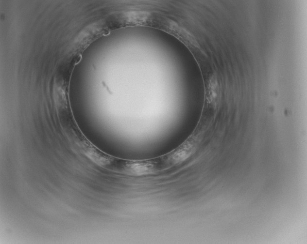 X0000073900522200608111133