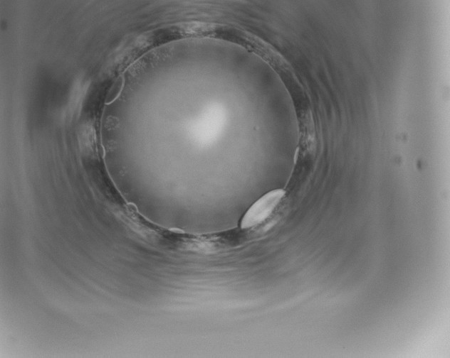 X0000073900523200608111133