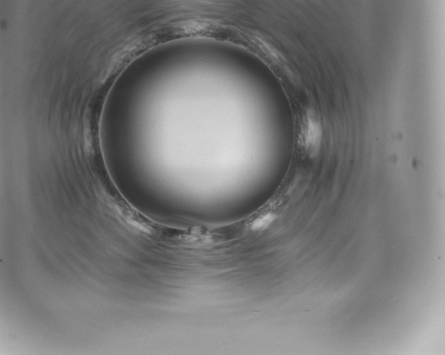 X0000073900524200608111133