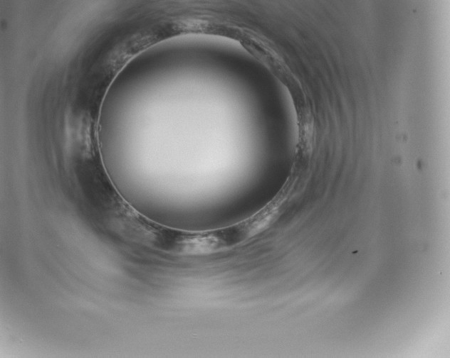 X0000073900525200608111133